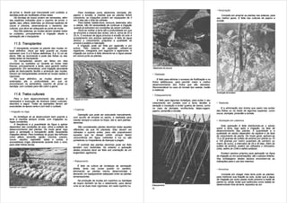 • Amarração
de jornal, e, desde que manuseada com cuidado, a                  Para hortaliças como abobrinha, berinjela, jiló,
bandeja pode ser reutilizada vArias vezes.                  pepino e tomate, a medida que as plantas forem                                                                            Consiste em amarrar as plantas nas estacas, para
    Na bandeja de isopor podem ser semeadas, além           crescendo, as irrigações podem ser espaçadas de 3                                                                      seu melhor apoio. E feita nas culturas de pepino e
das espécies indicadas para o copinho de jornal, o          em 3 dias ate o final da colheita.                                                                                     tomate.
agrião, aipo, alface, beterraba, as diversas espécies de          Para batata, batata-doce, cenoura, beterraba, alho
couve e chicória, observando-se o tamanho das                e cebola, não há necessidade de continuar a irrigação
culturas, que deve ser adequado ao porte da muda.            quando já estiverem em condições de serem colhidas.
    Nos três sistemas, as mudas devem receber todos               Deve-se molhar a terra ate a profundidade em que
os cuidados, principalmente a irrigação desde a             se encontra a maioria das raízes, isto é, cerca de 20 a
semeação ate o transplante.                                 25 m. O excesso de água provoca a erosão do solo e
                                                            arrastamento dos adubos aplicados. A falta de água
                                                            diminui o crescimento, prejudica a qualidade do
    11.5. Transplantes                                      produto e acelera a maturação.
                                                                 A irrigação pode ser feita por aspersão e por
     O transplante consiste no plantio das mudas no         sulcos. Pelo sistema de aspersão utilizam-se
local definitivo. Deve ser feito quando as mudas            regadores, mangueira com esguicho e aspersores. A
estiverem com 5 a 6 folhas definitivas, 8 a 10 cm de        irrigação por sulcos é feita deixando-se a Água passar
altura. Não se recomenda a poda das folhas ou das           em sulcos junto as plantas.
raízes antes do transplante.
     Os transplantes devem ser feitos em dias
chuvosos ou nublados ou durante as horas mais
frescas, principalmente a tarde, para garantir melhor
pegamento. Em sementeiras, uma irrigação abundante                                                                     Raleamento de cenoura
antes do trans-plantio facilita o arranquio das mudas.
Devem ser transplantadas somente as mudas sadias e                                                                     • Desbaste
vigorosas.
     No local definitivo, as mudas devem ser                                                                                E feito para eliminar o excesso de frutificação e os
enterradas ate a profundidade em que se                                                                                frutos defeituosos, para permitir maior e melhor
encontravam na sementeira, copinho de jornal ou                                                                        desenvolvimento dos frutos que são deixados.
bandeja, com cuidado para não cobrir a gema.                                                                           Recomendável no caso do tomate tipo salada, melão
                                                                                                                       e melancia.
                                                                                                                                                                                   Amarração de tomateiro
     11.6. Tratos culturais                                                                                            • Estaqueamento
   Para o bom desenvolvimento das plantas é                 Irrigação por sulco
necessária a execução de diversos tratos culturais,                                                                        E feito para algumas hortaliças, para evitar o seu
descritos a seguir. Todas as operações devem ser                                                                       crescimento em contato com a terra, facilitar a             • Desbrota
executadas na época certa e com todo o cuidado.                                                                        aeração e insolação e evitar quebra de ramos, como
                                                                                                                       no caso da berinjela, ervilha-torta, feijao-vagem,              E a eliminação dos brotos que saem nas axilas
                                                            • Capinas                                                                                                              das folhas ou na haste de algumas espécies, como
• Irrigação ou rega                                                                                                    pepino, pimentão e tomate.
                                                                                                                                                                                   couve, berinjela, pimentão e tomate.
                                                                Operação que pode ser executada manualmente,
     As hortaliças só se desenvolvem bem quando a           com auxílio de enxada ou sacho, e realizada para
terra é mantida sempre úmida, com irrigações ou             manter sempre a cultura no limpo, isto é, sem plantas                                                                  • Adubação em cobertura
regas constantes,                                           daninhas.
     A freqüência e a quantidade da Água a aplicar
dependem das condições do solo, clima e estádio de               São consideradas plantas daninhas todas aquelas                                                                       Esta operação é feita distribuindo-se o adubo
desenvolvimento das plantas. De modo geral, logo                                                                                                                                   sobre a terra, logo após a irrigação, na fase de
                                                            diferentes da que foi plantada. Elas devem ser                                                                         desenvolvimento das plantas. A quantidade e a
após a semeação e transplantio serão necessárias            retiradas o quanto antes, para não prejudicarem
irrigações diárias. Para hortaliças do grupo das folhosas                                                                                                                          qualidade do adubo dependem da espécie e da fase
                                                            aquelas que se deseja colher, porque fazem                                                                             de crescimento da planta. De modo geral, aplicam-se
como alface, almeirão, agrião, chicória, coentro,           concorrência em Água, nutrientes e luz ou são
couve, repolho, espinafre, salsa e outras, é                                                                                                                                       15 a 20 gramas de sulfato de amônio por planta ou 70
                                                            portadoras ou hospedeiras de doenças e pragas.                                                                         a 100 gramas por metro quadrado de canteiro ou
aconselhável irrigar diariamente durante todo o ciclo,
para obter folhas tenras.                                                                                                                                                          metro de sulco, a intervalos de 25 a 30 dias. AIém do
                                                                O controle das plantas daninhas pode ser feito
                                                                                                                                                                                   sulfato de amônio, podem ser utilizados o nitrocalcio,
                                                            também com herbicidas. No entanto, a aplicação                                                                         uréia, salitre do Chile e salitre potássio.
                                                            destes produtos deve ser feita sob orientação de um
                                                            engenheiro -agrônomo.                                                                                                       Existem adubos próprios para aplicação na Água
                                                                                                                                                                                   de irrigação ou em pulverizações: são s adubos foliares.
                                                                                                                                                                                   Nas embalagens destes adubos encontram-se as
                                                            • Raleamento                                                                                                           indicações para o uso dos mesmos.
                                                                 É feito na cultura de hortaliças de semeação
                                                            direita, tanto nas covas quanto no canteiro,                                                                           • Amontoa
                                                            eliminando as plantas menos desenvolvidas e
                                                            deixando um espaçamento adequado entre as plantas                                                                           Consiste em chegar mais terra junto as plantas,
                                                            remanescentes.                                                                                                         para melhorar sua fixação ao solo, evitar que a água
                                                                Na produção de mudas em copinhos ou bandejas                                                                       de Irrigação por sulco passe muito próximo a haste da
                                                                                                                                                                                   planta ou, ainda, evitar que tubérculos como batata se
                                                            de isopor também se faz o raleamento, para deixar
                                                                                                                       Estaqueamenlo                                               desenvolvam fora da terra, expostos ao sol.
Aspersão com regador
                                                            uma ou as duas mais vigorosas, em cada copinho ou
                                                                                                                       10
 