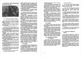 E feita somente no cultivo de algumas espécies       manchas geralmente nas folhas, hastes e frutos.          botões florais estao fechados. O ponto de colheita é           Podem ser plantadas em:
como berinjela, pepino, pimentão e tomate, sendo          Podem causar secamento ou apodrecimento das              reconhecido pelo aspecto.
indispensável para o de batata.                           partes atacadas e murchamento e morte das plantas;            Entre as hortaligas-frutos existem aquelas cujos          • caixotes, tubos ou semelhantes com altura de
                                                              Bactérias: causam pintas ou manchas geralmente       frutos são colhidos quando estao ainda em fase de          20 a 25 cm: agrião, alface, chicória, almeirão,
                                                          circulares e escuras, podridão, secamento das partes     desenvolvimento, novos, tenros, verdes, e as               beterraba, cebolinha, cenoura, coentro, espinafre,
                                                          atacadas, murchamento e morte das plantas;               sementes ainda não se formaram. São os casos de            morango, rabanete, rúcula, salsa.
                                                               Vírus: causam o amarelecimento, encrespamento,      abóbora, abóbora -verde, berinjela, ervilha, feijão -
                                                          engruvinhamento e deformação das folhas, afetando o      vagem, pepino, maxixe, pimentão e quiabo.                       • vasos ou sacos de plástico com 30 a 50 cm de
                                                          desenvolvimento das plantas;                                  Outros são colhidos quando completaram o              altura e 20 a 30 cm de diâmetro: berinjela, jiló,
                                                              Nematóides: provocam a formação de nódulos           desenvolvimento fisiológico e iniciaram a maturação        couve,couve-brocolos, couve-flor, repolho, feijao-
                                                          nas raízes, amarelecimento e murchamento, afetando       ou já estao maduros. Enquadram-se neste caso a             vagem, ervilha torta, pepino, pimentão, pimenta,
                                                          também o desenvolvimento das plantas.                    abóbora, moranga, melão e melancia. A idade da             quiabo, tomate.
                                                                                                                   planta, tamanho e coloração do fruto são indicativos
                                                                                                                   da maturação.                                                   Todos os recipientes devem ter pequenos furos no
                                                               O controle das doenças é feito eliminando-se as                                                                 fundo, para escoamento do excesso da Água. Devem
                                                          partes atacadas ou a planta toda e, preventivamente,          O tomate e o pimentão podem ser colhidos
                                                                                                                   quando estao no inicio da maturação ou quando ft            ser colocados sobre suportes, para permitir a saída d-
                                                          mantendo a cultura no limpo, adubando e regando                                                                      água escorrida.
                                                          como recomendado.                                        estao completamente maduros ou vermelhos. Ha"
                                                               Muitas vezes o amarelecimento das folhas,           uma cultivar de pimentão de cor amarela em que o                 O enchimento de recipientes para cultivo de
                                                          murchamento, mau desenvolvimento e morte das             fruto é colhido quando atinge o tamanho natural da          alface, almeirão, cebolinha, coentro e salsa e feito
                                                          plantas são causados por falta de adubo e se             cultivar e a coloração característica em quase toda a       com uma mistura em partes iguais de terra e esterco
Amontoa em batata                                                                                                  superfície do fruto.
                                                          confundem com sintomas de doenças. A falta ou                                                                        de gado, acrescentando, para cada 20 litros da
                                                          excesso de Água, excesso de calor ou frio e clima             As hortaliças -raízes, rizomas, bulbos e tubérculos    mistura, 50 gramas de adubo da formula 10-10-10.
                                                          desfavorável para a espécie podem também provocar        são colhidas quando completam o desenvolvimento e
    11.7. Controle de pragas e doenças                    esses sintomas.                                          entram em fase de maturação. Esta fase e                        Para o plantio de cenoura, beterraba, couve-flor e
                                                               As plantas devem ser observadas diariamente,        reconhecida pelo amarelecimento e secamento                repolho, preparar a mistura com partes iguais de
    Mesmo nas pequenas hortas ocorre ataque de            para verificar a possível presença de doenças ou         natural da parte aérea da planta. A idade da planta        esterco de gado e terra, acrescentando, para cada 20
pragas e doenças, que, se não forem controladas,          pragas, por serem mais facilmente controláveis no        também é um indicativo para a colheita.                    litros da mistura, 100 gramas de adubo da fórmula 4-
prejudicam o crescimento das plantas e a qualidade        inicio do ataque.                                                                                                   14-8.
do produto a ser colhido.                                      Na horta caseira deve-se evitar o uso de produtos        11.9. Rotação                                             Em vasos ou sacos de plástico, no cultivo de
    Pragas são os insetos e Ácaros que atacam as          químicos ou agrotóxicos, pois os ataques de pragas e
                                                                                                                        Encerrada a colheita em uma Área, deve-se             tomate, pimentão e pepino, a mistura 4 feita de partes
folhas, hastes, raízes e frutos, sugando a seiva ou       moléstias geralmente não são muito severos e podem
                                                                                                                   fazer a "rotação de cultura", plantando espécies cuja      iguais de terra e esterco de gado, adicionando-se, em
comendo parte delas.                                      ser combatidos pela eliminação manual e por outros
                                                                                                                   família seja diferente daquela que ocupou o terreno        cada 20 litros da mistura, 50 gramas de adubo da
     Como principais pragas das hortaliças tem-se:        cuidados, mencionados anteriormente.
                                                                                                                   anterior-mente.                                            formula 4-14-8.
                                                               Se for considerado absolutamente necessário
     Lagarta-rosca: corta as hastes das plantas novas,    aplicar produtos químicos, deve-se buscar a orientação        O plantio sucessivo de plantas da mesma espécie            Tanto o esterco como os adubos devem ser muito
rente ao solo. São lagartas escuras, grandes, com 3 a     de um engenheiro- agrônomo, para a escolha do            ou da mesma famllia numa mesma Área diminui a              bem misturados com a terra antes do plantio, para
5 cm de comprimento. Durante o dia ficam escondidas       produto, calculo das dosagens, modo de aplicação e       produção e favorece o ataque de certas doenças e           evitar a queima das raízes das plantas novas.
na terra perto da planta cortada.                         quanto ao período de carência.                           pragas. Isto acontece porque as plantas de uma mes-
     Lagartas-das-folhas: comem as folhas; são em              Os agrotóxicos, comumente chamados de               ma família retiram do solo os mesmos elementos
geral de coloração esverdeada, podendo apresentar         "venenos" ou "remédios", são produtos tóxicos que,       nutritivos e porque as pragas e doenças em geral
listas pretas no dorso. Medem em geral 3 a 5 cm de        quando usados sem a devida técnica e precauções,         ocorrem em plantas da mesma família.                       11.11. Cultivo sob proteção de
                                                          podem causar prejuízo A saúde, tanto de quem aplica          Alguns exemplos de plantas da mesma família
comprimento.
                                                          os produtos quanto de quem consome os alimentos          que não devem ser cultivadas sucessivamente no                plástico
     Pulgões: insetos muito pequenos de cor
esverdeada ou preta, com asas ou não; vivem em            tratados.                                                mesmo local são: família das Solanáceas: tomate,
colônias, principalmente nas folhas ou brotações               Aplicações em épocas erradas. em doses acima        pimentão, berinjela e jiló; família das Cucurbitáceas:          Este sistema e utilizado para o cultivo de
novas. Provocam o engruvinhamento das folhas e            do recomendado pelos técnicos ou com freqüência          melancia. melão, abdbora e pepino; e família das           hortaliças em períodos de excesso de chuvas ou de
transmitem doenças viróticas.                             excessiva são contra-indicadas, porque: a) aumentam      Crucíferas: couve, couve-flor, couve- brócolos, repolho.   frio. No primeiro caso, faz-se uma cobertura com
     Ácaros: são pragas quase invisíveis a olho nu,       os custos de produção, b) afetam o meio-ambiente, c)                                                                filme de plástico que servirá de proteção contra as
vivem em colônias no lado inferior das folhas novas; as   podem causar danos as plantas por fitotoxidez, d)             11.10. Produção de hortaliças                         chuvas. Nas épocas de frio, pode-se fazer uma estufa
folhas atacadas apresentam descoloração e as vezes        aumentam os riscos de intoxicação do trabalhador, e                                                                 com cobertura e paredes laterais de plástico. Tanto
pode-se notar a formação da teia.                         e) os produtos podem conservar resíduos de                           em recipientes                                 sob a cobertura quanto dentro da estufa, as hortaliças
      Vaquinhas: pequenos besouros de cores variadas,     agrotóxicos, prejudicando a saúde dos consumidores.                                                                 podem ser plantadas no chão ou em recipientes.
                                                                                                                       Para o plantio de hortaliças em apartamentos ou
alaranjados ou verdes com manchas amarelas, que                Por isso é muito importante ser cuidadoso e                                                                         Para espécies de porte baixo como alface,
                                                                                                                   em casas com quintal, mas sem Área de terra
comem as folhas.                                          obedecer rigorosamente as recomendações e                                                                           cenoura ou outras que não atingem mais de 30 cm de
                                                                                                                   descoberta, podem-se usar recipientes de qualquer
     Tripes: pequenos insetos quase invisíveis a olho     dosagens constantes dos rótulos dos produtos e                                                                      altura, pode-se cultiva'-las sob túnel de plástico com
                                                                                                                   material resistente a umidade, como vaso de
nu, que vivem em colônias nas folhas novas ou nos         orientações do engenheiro- agrônomo.                                                                                altura de 0,70 a 1,00 m.
                                                                                                                   cerâmica, sacos de plástico. latas, tubos de plástico
locais mais escondidos. Raspam as folhas, deixando                                                                 cortado, pneu cortado etc. Estes recipientes podem              As estruturas para túnel, cobertura ou estufa
pequenas manchas brancas.                                     11.8. Colheita                                       ser de diversas formas, mas seu tamanho não deve           podem ser feitas de madeira, bambu, cano de ferro
     Minadores de folhas e hastes: pequenas Iarvas                                                                 ser muito grande, para facilitar o manejo. Devem ser       galvanizado ou outro material disponível, e o filme de
de diversas espécies de insetos, que formam galerias           Cada hortaliça apresenta, em determinada fase de                                                               plástico deve ser apropriado para estufas. O mais
                                                                                                                   colocados em locais arejados e iluminados.
nas folhas, hastes e frutos.                              seu crescimento, suas melhores características de                                                                   indicado é o polietileno de baixa densidade (PEBD)
                                                          sabor, palatabilidade, aparência e qualidade. E nessa                                                               de longa duração.
    O controle de pragas e feito com a catação            ocasião que ela deve ser colhida.
manual, eliminando-se as partes muito atacadas. De-            Quando colhida antes do seu completo
ve-se eliminar toda e qualquer planta daninha que sir-    desenvolvimento, a hortaliça apresenta-se tenra mas
va de hospedeira aos insetos.                             sem sabor. E se for colhida tardiamente, estará
                                                          fibrosa, com má palatabilidade ou com sabor alterado.
    As principais doenças são causadas por: Fungos:            As hortaliças folhosas são colhidas quando as
    provocam o aparecimento de pintas ou                  folhas e hastes estao tenras; e as de flores, quando
                                                          os
                                                                                                              11   12
 