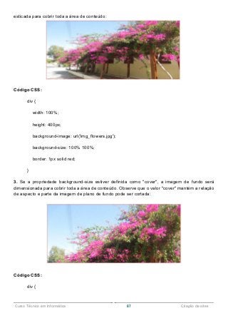 ______________________________________________________________________________________________
Curso Técnico em Informática 87 Criação de sites
esticada para cobrir toda a área de conteúdo:
Código CSS:
div {
width: 100%;
height: 400px;
background-image: url('img_flowers.jpg');
background-size: 100% 100%;
border: 1px solid red;
}
3. Se a propriedade background-size estiver definida como "cover", a imagem de fundo será
dimensionada para cobrir toda a área de conteúdo. Observe que o valor "cover" mantém a relação
de aspecto e parte da imagem de plano de fundo pode ser cortada:
Código CSS:
div {
 