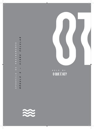 47
01
APOSTILADETREINAMENTO
MÓDULO3-VISÃOCELULAR
A U L A 0 1
O QUE É GC?
 