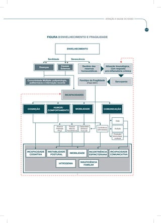 17
ATENÇÃO À SAÚDE DO IDOSO
ENVELHECIMENTO
Comorbidade Múltipla: polipatologia,
polifarmácia e internação recente
Fenótipo da Fragilidade
(Fried 2001)
Ativação Imunológica,
com resposta
pró-inﬂamatória crônica
Declínio das
reservas
homeostáticas
Senilidade
+ +
Senescência
Sarcopenia
Causas
Externas
COGNIÇÃO
HUMOR/
COMPORTAMENTO
MOBILIDADE COMUNICAÇÃO
INCAPACIDADES
Doenças
Alcance
Preensão
Pinça
Postura
Marcha
Transferência
Capacidade
aeróbica/
muscular
Continência
esﬁncteriana
Produção/
Motricidade
orofacial
Visão
Audição
INCAPACIDADE
COGNITIVA
INSTABILIDADE
POSTURAL
IMOBILIDADE
INCONTINÊNCIA
ESFINCTERIANA
INCAPACIDADE
COMUNICATIVA
IATROGENIA
INSUFICIÊNCIA
FAMILAR
FIGURA 3 ENVELHECIMENTO E FRAGILIDADE
 