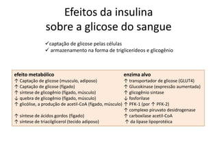 Efeitos da insulina
sobre a glicose do sangue
captação de glicose pelas células
 armazenamento na forma de triglicerídeos e glicogênio
efeito metabólico enzima alvo
↑ Captação de glicose (musculo, adiposo) ↑ transportador de glicose (GLUT4)
↑ Captação de glicose (fígado) ↑ Glucokinase (expressão aumentada)
↑ síntese de glicogênio (fígado, músculo) ↑ glicogênio sintase
↓ quebra de glicogênio (fígado, músculo) ↓ fosforilase
↑ glicólise, a produção de acetil-CoA (fígado, músculo) ↑ PFK-1 (por ↑ PFK-2)
↑ complexo piruvato desidrogenase
↑ síntese de ácidos gordos (fígado) ↑ carboxilase acetil-CoA
↑ síntese de triacilglicerol (tecido adiposo) ↑ da lípase lipoprotéica
 
