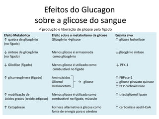 Efeitos do Glucagon
sobre a glicose do sangue
produção e liberação de glicose pelo fígado
Efeito Metabólico Efeito sobre o metabolismo da glicose Enzima alvo
↑ quebra de glicogênio Glicogênio →glicose ↑ glicose fosforilase
(no fígado)
↓ síntese de glicogênio Menos glicose é armazenada ↓glicogênio sintase
(no fígado) como glicogênio
↓ Glicólise (fígado) Menos glicose é utilizado como ↓ PFK-1
combustível no fígado
↑ gliconeogênese (fígado) Aminoácidos ↑ FBPase-2
Glicerol → glicose ↓ glicose piruvato quinase
Oxaloacetato ↑ PEP carboxicinase
↑ mobilização de Menos glicose é utilizada como ↑ triacilglicerol lipase
ácidos graxos (tecido adiposo) combustível no fígado, músculo
↑ Cetogênese Fornece alternativa à glicose como ↑ carboxilase acetil-CoA
fonte de energia para o cérebro
 
