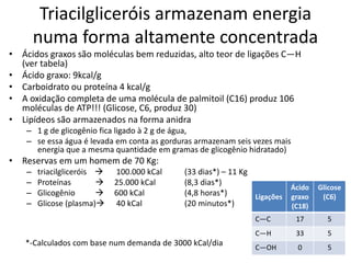 Triacilgliceróis armazenam energia
numa forma altamente concentrada
• Ácidos graxos são moléculas bem reduzidas, alto teor de ligações C—H
(ver tabela)
• Ácido graxo: 9kcal/g
• Carboidrato ou proteína 4 kcal/g
• A oxidação completa de uma molécula de palmitoil (C16) produz 106
moléculas de ATP!!! (Glicose, C6, produz 30)
• Lipídeos são armazenados na forma anidra
– 1 g de glicogênio fica ligado à 2 g de água,
– se essa água é levada em conta as gorduras armazenam seis vezes mais
energia que a mesma quantidade em gramas de glicogênio hidratado)
• Reservas em um homem de 70 Kg:
– triacilgliceróis  100.000 kCal (33 dias*) – 11 Kg
– Proteínas  25.000 kCal (8,3 dias*)
– Glicogênio  600 kCal (4,8 horas*)
– Glicose (plasma) 40 kCal (20 minutos*)
*-Calculados com base num demanda de 3000 kCal/dia
Ligações
Ácido
graxo
(C18)
Glicose
(C6)
C—C 17 5
C—H 33 5
C—OH 0 5
 
