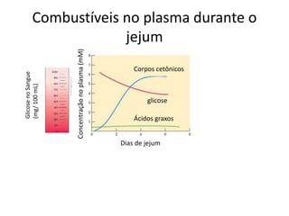 Combustíveis no plasma durante o
jejum
Concentração
no
plasma
(mM)
Dias de jejum
glicose
Corpos cetônicos
Ácidos graxos
Glicose
no
Sangue
(mg/
100
mL)
 