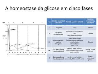 A homeostase da glicose em cinco fases
Fase
ORIGEM DAGLlCOSE
SANGüíNEA
TECIDOS USANDO GLlCOSE
PRINCIPAL
COMBUSTíVEL
DOCÉREBO
I Exógena Todos Glicose
II
Glicogênio
Gliconeogênese
Tecidos muscular e adiposo
em
velocidades diminuídas
Glicose
III
Gluconeogênese
hepática
Glicogênio
Todos exceto fígado
Tecidos muscular e adiposo
em velocidades
intermediárias
entre II e IV
Glicose
IV
Gluconeogênese
hepática e renal
Cérebro, RBCs, medula I
renal. Pequena quantidade
pelo músculo
Glicose, corpos
cetônicos
V
Gluconeogênese
hepática e renal
Cérebro em velocidade
diminuída, RBCs, medula renal
Corpos
ceteônicos,
glicose
 