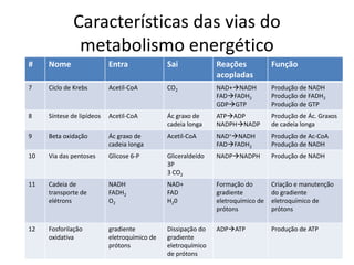 Características das vias do
metabolismo energético
# Nome Entra Sai Reações
acopladas
Função
7 Ciclo de Krebs Acetil-CoA CO2 NAD+NADH
FADFADH2
GDPGTP
Produção de NADH
Produção de FADH2
Produção de GTP
8 Síntese de lipídeos Acetil-CoA Ác graxo de
cadeia longa
ATPADP
NADPHNADP
Produção de Ác. Graxos
de cadeia longa
9 Beta oxidação Ác graxo de
cadeia longa
Acetil-CoA NAD+NADH
FADFADH2
Produção de Ac-CoA
Produção de NADH
10 Via das pentoses Glicose 6-P Gliceraldeído
3P
3 CO2
NADPNADPH Produção de NADH
11 Cadeia de
transporte de
elétrons
NADH
FADH2
O2
NAD+
FAD
H20
Formação do
gradiente
eletroquímico de
prótons
Criação e manutenção
do gradiente
eletroquímico de
prótons
12 Fosforilação
oxidativa
gradiente
eletroquímico de
prótons
Dissipação do
gradiente
eletroquímico
de prótons
ADPATP Produção de ATP
 