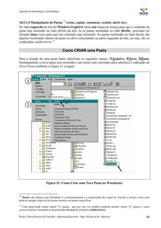 Apostila de Introdução a Informática



10.5.1.4 Manipulação de Pastas 11 (criar, copiar, renomear, excluir, abrir etc.)
No lado esquerdo da tela do Windows Explorer basta um clique no mouse para que o conteúdo da
pasta seja mostrado no lado direito da tela. Já as pastas mostradas no lado direito precisam ser
clicadas duas vezes para que seu conteúdo seja mostrado. As pastas mostradas no lado direito são
aquelas localizadas dentro da pasta ou drive selecionado na parte esquerda da tela, ou seja, são os
conhecidos subdiretórios 12.

                                         Como CRIAR uma Pasta

Para a criação de uma pasta basta selecionar os seguintes menus: Arquivo, Novo, Pasta.
Imediatamente a nova pasta será mostrada e um nome será solicitado para substituir a indicação de
Nova Pasta conforme a Figura 21 a seguir.



       1




                                            3
       2




                         Figura 21: Como Criar uma Nova Pasta no Winchester


11
  Pastas: são objetos cuja finalidade é o armazenamento e a organização dos arquivos. Facilita o acesso a eles, pois
pode-se agrupar arquivos de mesmo assunto em pastas específicas.
12
  Uma pasta pode conter outras “n” pastas, que por sua vez também poderão possuir outras “n” pastas e assim
sucessivamente, formando as denominadas árvores de diretório (subdiretórios).

Profa. Flávia Pereira de Carvalho - fpereira@faccat.br - http://fit.faccat.br/~fpereira                          40
 