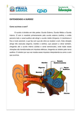    
           
   
 
ENTENDENDO A SURDEZ
Como ouvimos o som?
O ouvido é dividido em três partes: Ouvido Externo, Ouvido Médio e Ouvido
Interno. O som é recebido primeiramente pelo ouvido externo (orelha), e então
percorre todo o canal auditivo até atingir o ouvido médio (tímpano). A membrana é
fina e muito sensível, o que faz com que ela vibre ao receber o som. Esta vibração
atinge três ossículos (bigorna, martelo e estribo), que passam a vibrar também,
chegando até o ouvido interno (cóclea e canal semicircular), onde todas essas
vibrações são transformadas em impulsos elétricos, chegando ao cérebro pelo nervo
auditivo. O cérebro por sua vez recebe esses impulsos interpretando-os como o som
que ouvimos.
 