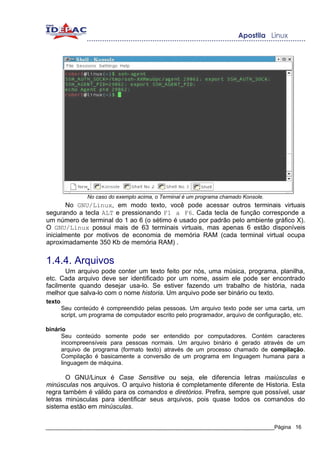 No caso do exemplo acima, o Terminal é um programa chamado Konsole.
        No GNU/Linux, em modo texto, você pode acessar outros terminais virtuais
segurando a tecla ALT e pressionando F1 a F6. Cada tecla de função corresponde a
um número de terminal do 1 ao 6 (o sétimo é usado por padrão pelo ambiente gráfico X).
O GNU/Linux possui mais de 63 terminais virtuais, mas apenas 6 estão disponíveis
inicialmente por motivos de economia de memória RAM (cada terminal virtual ocupa
aproximadamente 350 Kb de memória RAM) .


1.4.4. Arquivos
       Um arquivo pode conter um texto feito por nós, uma música, programa, planilha,
etc. Cada arquivo deve ser identificado por um nome, assim ele pode ser encontrado
facilmente quando desejar usa-lo. Se estiver fazendo um trabalho de história, nada
melhor que salva-lo com o nome historia. Um arquivo pode ser binário ou texto.
texto
        Seu conteúdo é compreendido pelas pessoas. Um arquivo texto pode ser uma carta, um
        script, um programa de computador escrito pelo programador, arquivo de configuração, etc.

binário
     Seu conteúdo somente pode ser entendido por computadores. Contém caracteres
     incompreensíveis para pessoas normais. Um arquivo binário é gerado através de um
     arquivo de programa (formato texto) através de um processo chamado de compilação.
     Compilação é basicamente a conversão de um programa em linguagem humana para a
     linguagem de máquina.

       O GNU/Linux é Case Sensitive ou seja, ele diferencia letras maiúsculas e
minúsculas nos arquivos. O arquivo historia é completamente diferente de Historia. Esta
regra também é válido para os comandos e diretórios. Prefira, sempre que possível, usar
letras minúsculas para identificar seus arquivos, pois quase todos os comandos do
sistema estão em minúsculas.


_____________________________________________________________________________Página 16
 