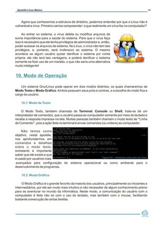 Agora que conhecemos a estrutura de diretório, podemos entender por que o Linux não é
vulnerável a vírus. Primeiro vamos compreender: o que realmente um vírus faz no computador?
Ao entrar no sistema, o vírus deleta ou modifica arquivos de
suma importância para a saúde do sistema. Para que o vírus faça
isso é necessário que ele tenha privilégios de administrador e, então,
poder acessar os arquivos de sistema. No Linux, o vírus não tem tais
privilégios, e, portanto, será inofensivo ao sistema. O mesmo
acontece se algum usuário quiser danificar o sistema por conta
própria: ele não terá tais vantagens, e poderá danificar o sistema
somente se fizer uso de um martelo, o que não seria uma alternativa
muito inteligente!
Um sistema Gnu/Linux pode operar em dois modos distintos, os quais chamaremos de
Modo Texto e Modo Gráfico.Ambos possuem seus prós e contras, e a escolha do modo fica a
cargo do usuário.
O Modo Texto, também chamado de Terminal, Console ou Shell, trata-se de um
interpretador de comandos, que o usuário passa ao computador somente por meio do teclado e
recebe a resposta impressa na tela. Muitas pessoas também chamam o modo texto de “Linha
de Comando”, pois a ação feita no terminal é enviar comandos (ou ordens) ao computador.
Não temos como
objetivo, nesta apostila,
nos aprofundarmos em
comandos e detalhes
sobre o modo texto,
entretanto é importante
saber que ele existe e que
é usado por usuários mais
avançados para configuração do sistema operacional ou como ambiente para o
desenvolvimento de programas.
O Modo Gráfico é o grande favorito da maioria dos usuários, principalmente os iniciantes e
intermediários, por ele ser muito mais intuitivo e não necessitar de algum conhecimento prévio
para se aventurar no mundo da informática. Neste modo, a comunicação do usuário com o
computador é feita não só com o uso do teclado, mas também com o mouse, facilitando
bastante a execução de certas tarefas.
10.1. Modo de Texto
10.2. Modo Gráfico
Núcleo de
Cidadania Digital
Apostila Linux Básico 15
10. Modo de Operação
Figura 10.1 - Ambiente modo texto do Linux
 