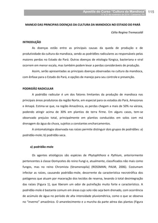 Apostila do Curso “Cultura da Mandioca”
17 a 21 de novembro de 2014 / Castanhal, PA_
_115
MANEJO DAS PRINCIPAIS DOENÇAS DA CULTURA DA MANDIOCA NO ESTADO DO PARÁ
Célia Regina Tremacoldi
INTRODUÇÃO
As doenças estão entre as principais causas da queda de produção e de
produtividade da cultura da mandioca, sendo as podridões radiculares as responsáveis pelas
maiores perdas no Estado do Pará. Outras doenças de etiologia fúngica, bacteriana e viral
ocorrem em menor escala, mas também podem levar a perdas consideráveis de produção.
Assim, serão apresentadas as principais doenças observadas na cultura da mandioca,
com ênfase para o Estado do Pará, e opções de manejo para seu controle e prevenção.
PODRIDÃO RADICULAR
A podridão radicular é um dos fatores limitantes da produção de mandioca nas
principais áreas produtoras da região Norte, em especial para os estados do Pará, Amazonas
e Amapá. Estima-se que, na região Amazônica, as perdas chegam a mais de 50% na várzea,
podendo atingir acima de 30% em plantios de terra firme. Em alguns casos, tem-se
observado prejuízo total, principalmente em plantios conduzidos em solos com má
drenagem da água da chuva, sujeitos a constantes encharcamentos.
A sintomatologia observada nas raízes permite distinguir dois grupos de podridões: a)
podridão-mole; b) podridão-seca.
a) podridão-mole
Os agentes etiológicos são espécies de Phytophthora e Pythium, anteriormente
pertencentes à classe Oomycetes do reino Fungi e, atualmente, classificados não mais como
fungos, mas no reino Chromista (Stramenopila) (ROSSMAN; PALM, 2006). Costumam
infectar as raízes, causando podridão-mole, decorrente da característica necrotrófica dos
patógenos que atuam por maceração dos tecidos de reserva, levando à total desintegração
das raízes (Figura 1), que liberam um odor de putrefação muito forte e característico. A
podridão-mole é bastante comum em áreas cujo solo não seja bem drenado, com ocorrência
de acúmulo de água no período de alta intensidade pluviométrica, como o que se observa
no “inverno” amazônico. O amarelecimento e a murcha da parte aérea das plantas (Figura
 