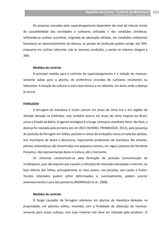 Apostila do Curso “Cultura da Mandioca”
17 a 21 de novembro de 2014 / Castanhal, PA_
_121
Os prejuízos causados pelo superalongamento dependem do nível de inóculo inicial,
da suscetibilidade das variedades e cultivares utilizadas e das condições climáticas.
Utilizando-se cultivar suscetível, originada de plantação afetada, em condições ambientais
favoráveis ao desenvolvimento da doença, as perdas de produção podem atingir até 70%,
enquanto em cultivar tolerante, sob as mesmas condições, a perda no máximo chegará a
30%.
Medidas de controle
A principal medida para o controle do superalongamento é a seleção de manivas-
semente sadias para o plantio, de preferência oriundas de cultivares resistentes ou
tolerantes. A rotação de culturas é outra boa técnica a ser adotada, em áreas onde a doença
já ocorre.
FERRUGEM
A ferrugem da mandioca é muito comum em áreas de clima frio e em regiões de
altitude elevada na Colômbia, mas também ocorre em áreas de clima tropical do Brasil,
como o Estado da Bahia. O agente etiológico é o fungo Uromyces manihotis Henn. No Pará, a
doença foi relatada pela primeira vez em 2011 (SIVIERO; TREMACOLDI, 2011), pela presença
de pústulas de ferrugem em folhas, pecíolos e ramos de brotações novas em plantas adultas,
nos municípios de Acará e Barcarena, importantes produtores de mandioca. No entanto,
plantas sintomáticas são encontradas em pequeno número, em alguns plantios do Nordeste
Paraense, não representando danos à cultura, até o momento.
Os sintomas caracterizam-se pela formação de pústulas (concentração de
uredósporos, que são esporos que causam a infecção) de coloração alaranjada a marrom, na
face inferior das folhas, principalmente as mais jovens, nos pecíolos, nos caules e frutos.
Tecidos infectados podem sofrer deformações e, eventualmente, podem ocorrer
amarelecimento e seca dos ponteiros (RODRIGUEZ et al., 2008).
Medidas de controle
O fungo causador da ferrugem sobrevive em plantas de mandioca deixadas na
propriedade, em plantios velhos, mantidos com a finalidade de obtenção de manivas-
semente para novos cultivos, mas esse material não deve ser utilizado pelo produtor. O
 