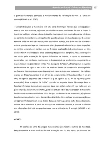 Apostila do Curso “Cultura da Mandioca”
17 a 21 de novembro de 2014 / Castanhal, PA_
_127
e permite de maneira otimizada o monitoramento da infestação de ovos e larvas no
campo (AGUIAR et al., 2010).
- Controle biológico: O mandarová tem uma série de inimigos naturais que são capazes de
exercer um bom controle, seja com parasitoides ou com predadores de ovos e larvas. O
inseticida biológico seletivo à base de Bacillus thuringiensis tem mostrado grande eficiência
no controle do mandarová, principalmente quando aplicado em lagartas jovens. O controle
também pode ser feito pela aplicação de Baculovirus erinnyis, que é um vírus de ocorrência
natural que ataca as lagartas, ocasionando infecção generalizada nas larvas. Após inspeções,
no mínimo semanais, em plantios com até 5 meses, a aplicação do B. erinnyis deve ser feita
quando forem encontradas de cinco a sete lagartas pequenas por planta. O B. erinnyis pode
ser obtido pela maceração de lagartas infectadas na lavoura, as quais se apresentam
descoradas, com perda dos movimentos e da capacidade de se alimentar, encontrando-se
dependuradas nos pecíolos das folhas. Para o preparo da “calda”, utilizar apenas as lagartas
recém-mortas. As lagartas não usadas de imediato devem ser conservadas em congelador
ou freezer e descongeladas antes do preparo da calda. A dose para pulverizar 1 ha é obtida
usando-se: 8 lagartas grandes (7 cm a 9 cm de comprimento); 22 lagartas médias (4 cm a 6
cm); 30 lagartas pequenas (até 4 cm) ou 18 g de lagartas ou 20 mL de líquido (lagartas
esmagadas). Para o preparo da “calda”, proceder da seguinte forma: 1) esmagar bem as
lagartas infectadas, juntando um pouco de água para soltar o vírus; 2) coar tudo com um
pano limpo ou passar em peneira fina, para não entupir o bico do pulverizador; 3) misturar o
líquido coado numa quantidade de 200 L de água por hectare a ser pulverizado; 4) aplicar o
Baculovirus nas primeiras horas da manhã ou à tardinha. Deve-se levar em consideração que
as lagartas infectadas levam cerca de seis dias para morrer, porém a partir do quarto dia elas
deixam de se alimentar. A partir da utilização de armadilha luminosa, é possível o controle
das infestações de E. ello em grandes áreas, com a utilização do B. erinnyis (AGUIAR et al.,
2010).
ÁCAROS
Os ácaros são uma das pragas mais severas que atacam a cultura da mandioca.
Frequentemente atacam o cultivo durante a estação seca do ano, sendo encontrados em
 