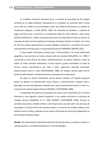 130__Apostila do Curso “Cultura da Mandioca”
_17 a 21 de novembro de 2014 / Castanhal, PA
As condições climáticas favoráveis para o aumento da população de M. tanajoa
verificam-se na região Nordeste, destacando-se as condições de semiárido (até 8 meses
secos, 400 mm a 600 mm de precipitação anual). No Estado de Pernambuco, as perdas no
rendimento chegaram a 51,4% (VEIGA, 1985). No semiárido do Nordeste, a ausência da
praga contribuiu para o aumento no rendimento médio de raízes (28,1%) e parte aérea
(28,6%) (FUKUDA et al., 1996). A presença desse ácaro foi observada em todos os acessos de
mandioca do Banco de Germoplasma da Embrapa Amazônia Oriental, em Belém, PA. Cerca
de 32% dos acessos apresentaram os brotos afetados, entretanto, a ocorrência de chuvas
provavelmente contribuiu para a recuperação das plantas (NORONHA; MOURA, 2011).
O ácaro-rajado Tetranychus urticae (Acari: Tetranychidae) é de ampla distribuição
geográfica e de ocorrência em várias culturas além de mandioca (BOLLAND et al., 1998). É
encontrado na face inferior das folhas, preferencialmente nas partes mediana e basal da
planta. As folhas atacadas apresentam, na face superior, pontos amarelados ao longo da
nervura central estendendo-se por toda a folha, adquirindo coloração bronzeada;
posteriormente secam e caem (FLECHTMANN, 1989). Em ataques severos pode ocorrer
perda das folhas basais e medianas da planta, avançando até a parte apical.
Em geral, os ácaros inicialmente atacam plantas isoladas, em seguida pequenos
grupos de plantas em determinados locais (focos) e, posteriormente, invadem toda a
plantação. Os meios de dispersão envolvidos são a ação involuntária do homem, o vento e o
transporte de material vegetal infestado (MORAES; FLECHTMANN, 2008).
A capacidade de aumento da população dos ácaros está relacionada com os fatores
climáticos e varia segundo a planta hospedeira, o seu estado nutricional e a presença de
inimigos naturais (NORONHA et al., 1995; MORAES; FLECHTMANN, 2008). Durante os
períodos secos (baixa umidade relativa e alta temperatura), os ácaros têm uma alta taxa de
reprodução. As chuvas fortes não somente causam um aumento da umidade relativa, como
também lavam as folhas, podendo ocorrer ainda a eliminação dos ácaros por afogamento ou
pelo choque das gotas de água.
Manejo: São componentes importantes dentro do manejo de ácaros, as práticas culturais, o
controle químico, a resistência de plantas e o controle biológico.
 
