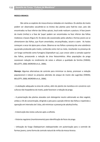 132__Apostila do Curso “Cultura da Mandioca”
_17 a 21 de novembro de 2014 / Castanhal, PA
MOSCA-BRANCA
São várias as espécies de mosca-branca relatadas em mandioca. Os adultos do inseto
podem ser observados sacudindo-se os brotos das plantas para fazê-los voar, pois são
encontrados na face inferior das folhas apicais, local onde realizam a postura. A fase jovem
do inseto (ninfas) e a fase de ‘pupa’ podem ser encontradas na face inferior das folhas
medianas e basais (Figura 4). Os danos são ocasionados pelos adultos e formas jovens ao se
alimentarem das folhas, que ficam amareladas, encarquilhadas, secam e caem. As hastes
começam a secar do ápice para a base. Observa-se nas folhas a presença de uma substância
açucarada produzida pelo inseto, conhecida como mel ou mela, resultando na presença de
um fungo conhecido como fumagina (Capnodium sp.), que cresce sobre a camada superior
das folhas, provocando a redução da área fotossintética. Altas populações da praga
ocasionam redução no rendimento de raízes e afetam a qualidade da farinha (FARIAS;
BELLOTTI, 2006; MOREIRA et al., 2006).
Manejo: Algumas alternativas de controle para minimizar os danos, promover a redução
populacional e reduzir os prejuízos advindos do ataque do inseto são sugeridas (FARIAS;
BELLOTTI, 2006; MOREIRA et al., 2006).
- A adubação adequada na área de cultivo, além do plantio da mandioca em consórcio com
culturas não hospedeiras do inseto, pode favorecer a redução da praga.
- A pulverização das plantas atacadas com detergente neutro adicionado ao óleo vegetal,
ambos a 1% de concentração, dirigindo o jato para a porção inferior das folhas e repetindo a
operação em intervalos de 5 dias, até minimizar a presença de adultos/ninfas.
- A destruição dos restos culturais após a colheita.
- Vistorias regulares (monitoramento) para identificação de focos da praga.
- Utilização do fungo Cladosporium cladosporioides em pulverização para o controle de
formas jovens, como forma de controle natural de ninfas da mosca-branca.
 