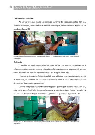 162__Apostila do Curso “Cultura da Mandioca”
_17 a 21 de novembro de 2014 / Castanhal, PA
Esfarelamento da massa.
Ao sair da prensa, a massa apresenta-se na forma de blocos compactos. Por isso,
antes do cozimento, deve-se efetuar o esfarelamento por processo manual (Figura 16) ou
mecânico (Figura 17).
Figura 16. Esfarelamento da massa manualmente; Figura 17. Esfarelamento mecânico. Fotos: Rosival
Possidonio.
Cozimento
O período de escaldamento dura em torno de 20 a 30 minutos, e consiste em ir
colocando gradativamente a massa triturada no forno previamente aquecido. O forneiro
com o auxílio de um rodo vai mexendo a massa até atingir o ponto ideal.
Para que se tenha uma farinha torrada é necessário que a massa passe pelo processo
de cozimento, do contrário ela não torra e sim seca ao forno. O sabor e textura dependem
diretamente do grau de escaldamento.
Durante este processo, acontece a formação de grumos por causa da fécula. Por isso,
esta etapa tem a finalidade de dar uniformidade à granulometria da farinha. A malha da
peneira será determinada pelo tamanho dos grãos que se quer obter (Figuras 18 e 19).
Figuras 18 e 19. Peneiramento mecânico e peneiramento manual da massa escaldada. Fotos: Rosival
Possidonio.
 
