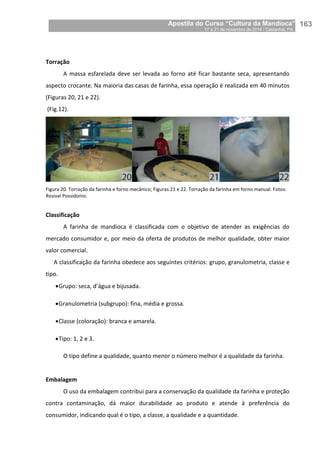 Apostila do Curso “Cultura da Mandioca”
17 a 21 de novembro de 2014 / Castanhal, PA_
_163
Torração
A massa esfarelada deve ser levada ao forno até ficar bastante seca, apresentando
aspecto crocante. Na maioria das casas de farinha, essa operação é realizada em 40 minutos
(Figuras 20, 21 e 22).
(Fig.12).
Figura 20. Torração da farinha e forno mecânico; Figuras 21 e 22. Torração da farinha em forno manual. Fotos:
Rosival Possidonio.
Classificação
A farinha de mandioca é classificada com o objetivo de atender as exigências do
mercado consumidor e, por meio da oferta de produtos de melhor qualidade, obter maior
valor comercial.
A classificação da farinha obedece aos seguintes critérios: grupo, granulometria, classe e
tipo.
Grupo: seca, d’água e bijusada.
Granulometria (subgrupo): fina, média e grossa.
Classe (coloração): branca e amarela.
Tipo: 1, 2 e 3.
O tipo define a qualidade, quanto menor o número melhor é a qualidade da farinha.
Embalagem
O uso da embalagem contribui para a conservação da qualidade da farinha e proteção
contra contaminação, dá maior durabilidade ao produto e atende à preferência do
consumidor, indicando qual é o tipo, a classe, a qualidade e a quantidade.
 