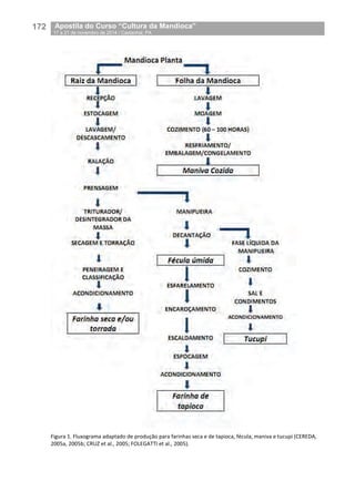 172__Apostila do Curso “Cultura da Mandioca”
_17 a 21 de novembro de 2014 / Castanhal, PA
Figura 1. Fluxograma adaptado de produção para farinhas seca e de tapioca, fécula, maniva e tucupi (CEREDA,
2005a, 2005b; CRUZ et al., 2005; FOLEGATTI et al., 2005).
 