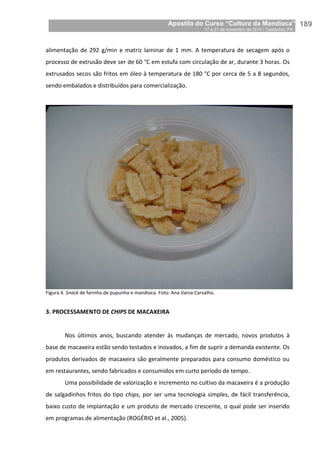 Apostila do Curso “Cultura da Mandioca”
17 a 21 de novembro de 2014 / Castanhal, PA_
_189
alimentação de 292 g/min e matriz laminar de 1 mm. A temperatura de secagem após o
processo de extrusão deve ser de 60 °C em estufa com circulação de ar, durante 3 horas. Os
extrusados secos são fritos em óleo à temperatura de 180 °C por cerca de 5 a 8 segundos,
sendo embalados e distribuídos para comercialização.
Figura 4. Snack de farinha de pupunha e mandioca. Foto: Ana Vania Carvalho.
3. PROCESSAMENTO DE CHIPS DE MACAXEIRA
Nos últimos anos, buscando atender às mudanças de mercado, novos produtos à
base de macaxeira estão sendo testados e inovados, a fim de suprir a demanda existente. Os
produtos derivados de macaxeira são geralmente preparados para consumo doméstico ou
em restaurantes, sendo fabricados e consumidos em curto período de tempo.
Uma possibilidade de valorização e incremento no cultivo da macaxeira é a produção
de salgadinhos fritos do tipo chips, por ser uma tecnologia simples, de fácil transferência,
baixo custo de implantação e um produto de mercado crescente, o qual pode ser inserido
em programas de alimentação (ROGÉRIO et al., 2005).
 