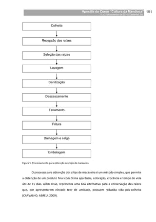 Apostila do Curso “Cultura da Mandioca”
17 a 21 de novembro de 2014 / Castanhal, PA_
_191
Figura 5. Processamento para obtenção de chips de macaxeira.
O processo para obtenção dos chips de macaxeira é um método simples, que permite
a obtenção de um produto final com ótima aparência, coloração, crocância e tempo de vida
útil de 15 dias. Além disso, representa uma boa alternativa para a conservação das raízes
que, por apresentarem elevado teor de umidade, possuem reduzida vida pós-colheita
(CARVALHO; ABREU, 2009).
Sanitização
Embalagem
Fritura
Recepção das raízes
Descascamento
Fatiamento
Drenagem e salga
Seleção das raízes
Colheita
Lavagem
 