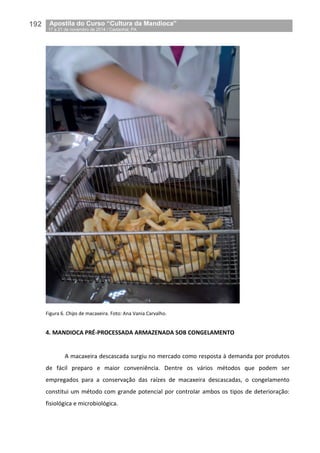 192__Apostila do Curso “Cultura da Mandioca”
_17 a 21 de novembro de 2014 / Castanhal, PA
Figura 6. Chips de macaxeira. Foto: Ana Vania Carvalho.
4. MANDIOCA PRÉ-PROCESSADA ARMAZENADA SOB CONGELAMENTO
A macaxeira descascada surgiu no mercado como resposta à demanda por produtos
de fácil preparo e maior conveniência. Dentre os vários métodos que podem ser
empregados para a conservação das raízes de macaxeira descascadas, o congelamento
constitui um método com grande potencial por controlar ambos os tipos de deterioração:
fisiológica e microbiológica.
 