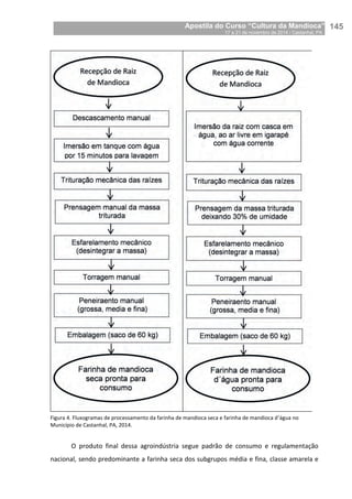 Apostila do Curso “Cultura da Mandioca”
17 a 21 de novembro de 2014 / Castanhal, PA_
_145
Figura 4. Fluxogramas de processamento da farinha de mandioca seca e farinha de mandioca d’água no
Município de Castanhal, PA, 2014.
O produto final dessa agroindústria segue padrão de consumo e regulamentação
nacional, sendo predominante a farinha seca dos subgrupos média e fina, classe amarela e
 