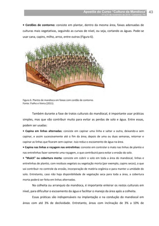 Apostila do Curso “Cultura da Mandioca”
17 a 21 de novembro de 2014 / Castanhal, PA_
_43
• Cordões de contorno: consiste em plantar, dentro da mesma área, faixas adensadas de
culturas mais vegetativas, seguindo as curvas de nível, ou seja, cortando as águas. Pode-se
usar cana, capins, milho, arroz, entre outras (Figura 6).
Figura 6. Plantio de mandioca em faixas com cordão de contorno.
Fonte: Fialho e Vieira (2011).
Também durante a fase de tratos culturais do mandiocal, é importante usar práticas
simples, mas que vão contribuir muito para evitar as perdas de solo e água. Entre essas,
podem ser usadas:
• Capina em linhas alternadas: consiste em capinar uma linha e saltar a outra, deixando-a sem
capinar, e assim sucessivamente até o fim da área; depois de uma ou duas semanas, retornar e
capinar as linhas que ficaram sem capinar. Isso reduz o escoamento de água na área.
• Capina nas linhas e roçagem nas entrelinhas: consiste em controlar o mato nas linhas de plantio e
nas entrelinhas fazer somente uma roçagem, o que contribuirá para evitar a erosão do solo.
• “Mulch” ou cobertura morta: consiste em cobrir o solo em toda a área do mandiocal, linhas e
entrelinhas de plantio, com resíduos vegetais ou vegetação morta (por exemplo, capins secos), o que
vai contribuir no controle da erosão, incorporação de matéria orgânica e para manter a umidade do
solo. Entretanto, caso não haja disponibilidade de vegetação seca para toda a área, a cobertura
morta poderá ser feita em linhas alternadas.
Na colheita ou arranquio da mandioca, é importante enleirar os restos culturais em
nível, para dificultar o escoamento da água e facilitar o manejo da área após a colheita.
Essas práticas são indispensáveis na implantação e na condução do mandiocal em
áreas com até 3% de declividade. Entretanto, áreas com inclinação de 3% a 10% de
 