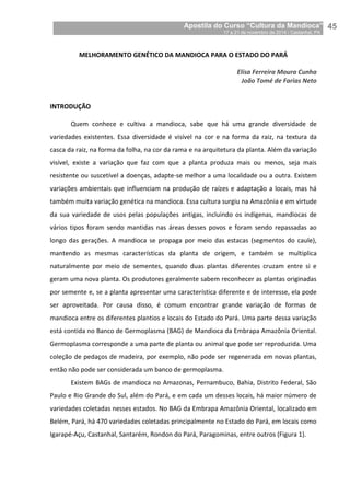 Apostila do Curso “Cultura da Mandioca”
17 a 21 de novembro de 2014 / Castanhal, PA_
_45
MELHORAMENTO GENÉTICO DA MANDIOCA PARA O ESTADO DO PARÁ
Elisa Ferreira Moura Cunha
João Tomé de Farias Neto
INTRODUÇÃO
Quem conhece e cultiva a mandioca, sabe que há uma grande diversidade de
variedades existentes. Essa diversidade é visível na cor e na forma da raiz, na textura da
casca da raiz, na forma da folha, na cor da rama e na arquitetura da planta. Além da variação
visível, existe a variação que faz com que a planta produza mais ou menos, seja mais
resistente ou suscetível a doenças, adapte-se melhor a uma localidade ou a outra. Existem
variações ambientais que influenciam na produção de raízes e adaptação a locais, mas há
também muita variação genética na mandioca. Essa cultura surgiu na Amazônia e em virtude
da sua variedade de usos pelas populações antigas, incluindo os indígenas, mandiocas de
vários tipos foram sendo mantidas nas áreas desses povos e foram sendo repassadas ao
longo das gerações. A mandioca se propaga por meio das estacas (segmentos do caule),
mantendo as mesmas características da planta de origem, e também se multiplica
naturalmente por meio de sementes, quando duas plantas diferentes cruzam entre si e
geram uma nova planta. Os produtores geralmente sabem reconhecer as plantas originadas
por semente e, se a planta apresentar uma característica diferente e de interesse, ela pode
ser aproveitada. Por causa disso, é comum encontrar grande variação de formas de
mandioca entre os diferentes plantios e locais do Estado do Pará. Uma parte dessa variação
está contida no Banco de Germoplasma (BAG) de Mandioca da Embrapa Amazônia Oriental.
Germoplasma corresponde a uma parte de planta ou animal que pode ser reproduzida. Uma
coleção de pedaços de madeira, por exemplo, não pode ser regenerada em novas plantas,
então não pode ser considerada um banco de germoplasma.
Existem BAGs de mandioca no Amazonas, Pernambuco, Bahia, Distrito Federal, São
Paulo e Rio Grande do Sul, além do Pará, e em cada um desses locais, há maior número de
variedades coletadas nesses estados. No BAG da Embrapa Amazônia Oriental, localizado em
Belém, Pará, há 470 variedades coletadas principalmente no Estado do Pará, em locais como
Igarapé-Açu, Castanhal, Santarém, Rondon do Pará, Paragominas, entre outros (Figura 1).
 