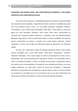 50__Apostila do Curso “Cultura da Mandioca”
_17 a 21 de novembro de 2014 / Castanhal, PA
VARIEDADES COM MESMO NOME, MAS CARACTERÍSTICAS DIFERENTES E COM NOMES
DIFERENTES, MAS CARACTERÍSTICAS IGUAIS
Uma forma de se mensurar a variabilidade genética da mandioca é pela diversidade
de nomenclaturas das variedades. Os agricultores tendem a nomear as variedades de acordo
com seus caracteres visuais, como a cor do pecíolo (exemplos: variedades “Roxinha”,
“Vermelhão”), a cor do broto apical (variedades “Olho Roxo”, “Olho Verde”), a forma das
gemas do caule (variedade “Zolhuda”), entre outros. Além disso, características de
cozimento das macaxeiras podem denominar a variedade, como nas Macaxeiras/Aipins
Manteiga e Água Morna. Como os agricultores tendem a nomear variedades com base em
poucas características da planta, é provável que muitas plantas diferentes venham
recebendo o mesmo nome vulgar, por diferentes grupos de agricultores em diferentes
regiões.
De fato, isso é observado no BAG da Embrapa Amazônia Oriental, onde existem
diversas variedades com o nome “Olho Verde”, “Olho Roxo”, “Branquinha”, “Pretinha”,
“Macaxeira Manteiga”, entre outros (Figura 4). Ocorre até derivação de nomes como a
denominada “Inha” que provavelmente foi derivada de “Rainha”, ou similaridades como a
“Pacuí” no Estado do Amapá e a “Pecuí” no Estado do Pará. Assim, os agricultores devem
ficar atentos com a recomendação ou indicação de uma variedade por técnicos ou mesmo
colegas produtores, em razão dessa mistura de nomes das variedades. É importante
identificar as características da variedade que a pessoa indicou, como cor e forma da folha,
cor do pecíolo, cor da polpa da raiz, cor da entrecasca da raiz, que são características que
sofrem pouca influência do ambiente e servem como identificadores das plantas.
 