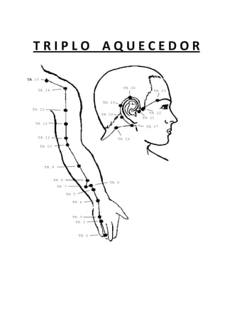 T R I P L O A Q U E C E D O R
 