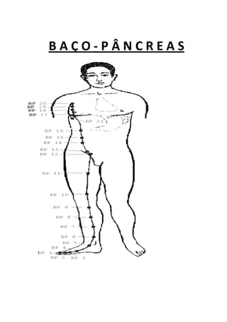 B A Ç O - P Â N C R E A S
 