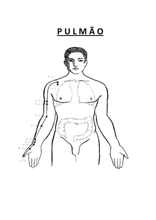 P U L M Ã O
 