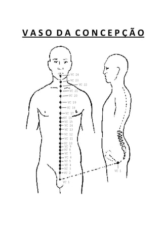 V A S O D A C O N C E P Ç Ã O
 