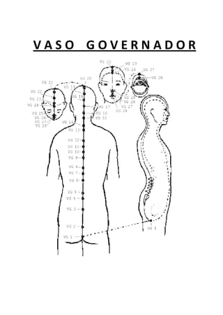 V A S O G O V E R N A D O R
 