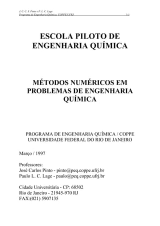 J. C. C. S. Pinto e P. L. C. Lage
Programa de Engenharia Química, COPPE/UFRJ 1-1
ESCOLA PILOTO DE
ENGENHARIA QUÍMICA
MÉTODOS NUMÉRICOS EM
PROBLEMAS DE ENGENHARIA
QUÍMICA
PROGRAMA DE ENGENHARIA QUÍMICA / COPPE
UNIVERSIDADE FEDERAL DO RIO DE JANEIRO
Março / 1997
Professores:
José Carlos Pinto - pinto@peq.coppe.ufrj.br
Paulo L. C. Lage - paulo@peq.coppe.ufrj.br
Cidade Universitária - CP: 68502
Rio de Janeiro - 21945-970 RJ
FAX:(021) 5907135
 