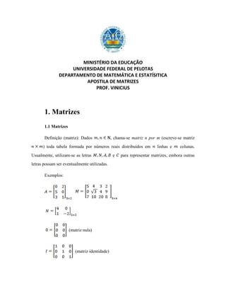 MINISTÉRIO DA EDUCAÇÃO
UNIVERSIDADE FEDERAL DE PELOTAS
DEPARTAMENTO DE MATEMÁTICA E ESTATÍSITICA
APOSTILA DE MATRIZES
PROF. VINICIUS
1. Matrizes
1.1 Matrizes
Definição (matriz): Dados , chama-se matriz n por m (escreve-se matriz
) toda tabela formada por números reais distribuídos em linhas e colunas.
Usualmente, utilizam-se as letras e para representar matrizes, embora outras
letras possam ser eventualmente utilizadas.
Exemplos:
(matriz nula)
(matriz identidade)
 
