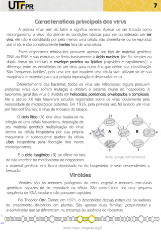 7
Características principais dos vírus
A palavra vírus vem do latim e significa veneno. Apesar de ser tratado como
microrganismo, o vírus não atende às condições básicas para ser considerado um ser
vivo; ele não é constituído por pelo menos uma célula, não alimenta-se ou se reproduz
por si só, e são completamente inertes fora de uma célula.
Estes organismos minúsculos possuem apenas um tipo de material genético;
DNA ou RNA e sua estrutura se limita basicamente à ácido nucleico (de fita simples ou
dupla, linear ou circular) e envelope proteico ou lipídico (capsídeo e capsômeros); a
diferença entre os envoltórios de um vírus para outro é o que define sua classificação.
São “pequenos ladrões”, pois uma vez que invadem uma célula viva; utilizam-se de sua
maquinaria e materiais para sua própria reprodução e desenvolvimento.
O ciclo lítico (A) dos vírus baseia-se na
infeção de uma célula hospedeira, deposição de
seu material genético, multiplicação do vírus
dentro da célula hospedeira por sua própria
maquinaria; e subsequente quebra da célula
(lise) hospedeira para liberação dos novos
microrganismos.
Diferentemente das bactérias, todos os vírus são infecciosos; alguns possuem
proteínas virais que sofrem mutação e driblam o sistema imune do hospedeiro. A
taxonomia geral dos vírus é dividida em helicoidais, poliédricos, envelopados e complexos.
Até o século XX não houveram estudos registrados sobre os vírus, obviamente pela
necessidade de microscópios potentes. Em 1935, pela primeira vez, foi isolado um vírus
por Wendell Stanley; o vírus do mosaico do tabaco.
E o ciclo lisogênico (B) se difere no fato
de não interferir no metabolismo do hospedeiro;
[fonte: google.com.br/imghp]
o material genético viral ficara depositado no do hospedeiro, e seus descendentes o
herdarão.
Viróides
Viróides são os menores patógenos do reino vegetal e menores estruturas
genéticas capazes de se reproduzir na célula. São constituídos por uma pequena
sequência de RNA circular e não possuem capsídeo.
Foi Theodor Otto Diener, em 1971, o descobridor dessas estruturas causadoras
do crescimento distorcido em plantas. São apenas duas famílias: pospiviroidae e
avsunviroidae que se diferenciam na presença ou ausência de ribozimas.
[fonte: https: wikipedia.org/]
 