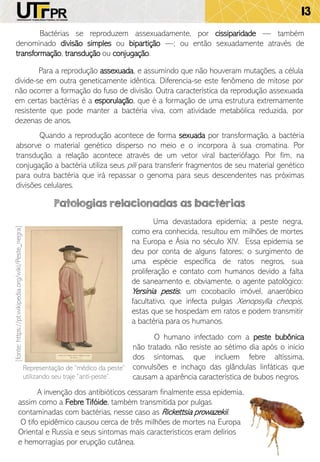 13
Bactérias se reproduzem assexuadamente, por cissiparidade — também
denominado divisão simples ou bipartição —; ou então sexuadamente através de
transformação, transdução ou conjugação.
Para a reprodução assexuada, e assumindo que não houveram mutações, a célula
divide-se em outra geneticamente idêntica. Diferencia-se este fenômeno de mitose por
não ocorrer a formação do fuso de divisão. Outra característica da reprodução assexuada
em certas bactérias é a esporulação, que é a formação de uma estrutura extremamente
resistente que pode manter a bactéria viva, com atividade metabólica reduzida, por
dezenas de anos.
Quando a reprodução acontece de forma sexuada por transformação, a bactéria
absorve o material genético disperso no meio e o incorpora à sua cromatina. Por
transdução, a relação acontece através de um vetor viral bacteriófago. Por fim, na
conjugação a bactéria utiliza seus pili para transferir fragmentos de seu material genético
para outra bactéria que irá repassar o genoma para seus descendentes nas próximas
divisões celulares.
Patologias relacionadas as bactérias
Uma devastadora epidemia; a peste negra,
como era conhecida, resultou em milhões de mortes
na Europa e Ásia no século XIV. Essa epidemia se
deu por conta de alguns fatores; o surgimento de
uma espécie específica de ratos negros, sua
proliferação e contato com humanos devido a falta
de saneamento e, obviamente, o agente patológico:
Yersinia pestis, um cocobacilo imóvel, anaeróbico
facultativo, que infecta pulgas Xenopsylla cheopis,
estas que se hospedam em ratos e podem transmitir
a bactéria para os humanos.
[fonte:https://pt.wikipedia.org/wiki/Peste_negra]
O humano infectado com a peste bubônica
não tratado, não resiste ao sétimo dia após o início
dos sintomas, que incluem febre altíssima,
convulsões e inchaço das glândulas linfáticas que
causam a aparência característica de bubos negros.
A invenção dos antibióticos cessaram finalmente essa epidemia,
assim como a Febre Tifóide, também transmitida por pulgas
contaminadas com bactérias, nesse caso as Rickettsia prowazekii.
O tifo epidêmico causou cerca de três milhões de mortes na Europa
Oriental e Russia e seus sintomas mais característicos eram delírios
e hemorragias por erupção cutânea.
Representação de “médico da peste”
utilizando seu traje “anti-peste”.
 