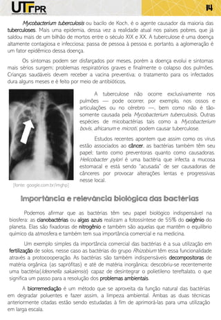 14
Mycobacterium tuberculosis ou bacilo de Koch, é o agente causador da maioria das
tuberculoses. Mais uma epidemia, dessa vez a realidade atual nos países pobres, que já
saldou mais de um bilhão de mortos entre o século XIX e XX. A tuberculose é uma doença
altamente contagiosa e infecciosa; passa de pessoa à pessoa e, portanto, a aglomeração é
um fator epidêmico dessa doença.
Os sintomas podem ser disfarçados por meses, porém a doença evolui e sintomas
mais sérios surgem; problemas respiratórios graves e finalmente o colapso dos pulmões.
Crianças saudáveis devem receber a vacina preventiva; o tratamento para os infectados
dura alguns meses e é feito por meio de antibióticos,
A tuberculose não ocorre exclusivamente nos
pulmões — pode ocorrer, por exemplo, nos ossos e
articulações ou no cérebro —, bem como não é tão-
somente causada pela Mycobacterium tuberculosis, Outras
espécies de micobactérias tais como a Mycobacterium
bovis, africanum e microti, podem causar tuberculose.
Estudos recentes apontem que assim como os vírus
estão associados ao câncer, as bactérias também têm seu
papel; tanto como preventoras quanto como causadoras.
Helicobacter pylori é uma bactéria que infecta a mucosa
estomacal e está sendo “acusada” de ser causadoras de
cânceres por provocar alterações lentas e progressivas
nesse local.
Importância e relevância biológica das bactérias
Podemos afirmar que as bactérias têm seu papel biológico indispensável na
biosfera: as cianobactérias ou algas azuis realizam a fotossíntese de 55% do oxigênio do
planeta. Elas são fixadoras de nitrogênio e também são aquelas que mantêm o equilíbrio
químico da atmosfera e também tem sua importância comercial e na medicina.
Um exemplo simples da importância comercial das bactérias é a sua utilização em
fertilização de solos, nesse caso as bactérias do grupo Rhizobium têm essa funcionalidade
através a protocooperação. As bactérias são também indispensáveis decompositoras de
matéria orgânica (as saprófitas) e até de matéria inorgânica; descobriu-se recentemente
uma bactéria(Ideonella sakaiensis) capaz de desintegrar o polietileno tereftalato, o que
significa um passo para a resolução dos problemas ambientais.
A biorremediação é um método que se aproveita da função natural das bactérias
em degradar poluentes e fazer assim, a limpeza ambiental. Ambas as duas técnicas
anteriormente citadas estão sendo estudadas à fim de aprimorá-las para uma utilização
em larga escala.
[fonte: google.com.br/imghp]
 