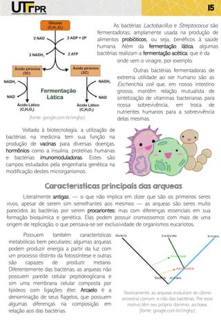 15
As bactérias Lactobacillus e Streptococus são
fermentadoras; amplamente usada na produção de
alimentos probióticos, ou seja, benéficos à saúde
humana. Além da fermentação lática, algumas
bactérias realizam a fermentação acética; que é da
Outras bactérias fermentadoras de
extrema utilidade ao ser humano são as
Escherichia coli que, em nosso intestino
grosso, mantêm relação mutualista de
sintetização de vitaminas bacterianas para
nossa sobrevivência, em troca de
nutrientes humanos para a sobrevivência
delas mesmas.
onde vem o vinagre, por exemplo.
[fonte: google.com.br/imghp]
Voltado à biotecnologia, a utilização de
bactérias na medicina tem sua função na
produção de vacinas para diversas doenças,
hormônios como a insulina, proteínas humanas
e bactérias imunomoduladoras. Estes são
campos estudados pela engenharia genética na
modificação destes microrganismos.
Características principais das arqueas
Literalmente antigas, — o que não implica em dizer que são os primeiros seres
vivos, apesar de serem sim semelhantes aos mesmos — as arqueas são seres muito
parecidos às bactérias por serem procariontes; mas com diferenças essenciais em sua
formação bioquímica e genética. Elas podem possuir cromossomos com mais de uma
origem de replicação, o que pensava-se ser exclusividade de organismos eucariotos.
Possuem também características
metabólicas bem peculiares; algumas arqueas
podem produzir energia a partir da luz com
um processo distinto da fotossíntese e outras
são capazes de produzir metano.
Diferentemente das bactérias, as arqueas não
possuem parede celular peptideoglicana e
sim uma membrana celular composta por
lipídeos com ligações éter. Arcaelo é a
denominação de seus flagelos, que possuem
algumas diferenças na composição em
relação aos das bactérias.
Teoricamente, as arqueas evoluíram do último
ancestral comum, e não das bactérias. Por esse
motivo têm seu próprio domínio; archaea.
[fonte: google.com.br/imghp]
 
