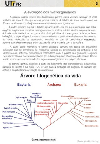 3
A evolução dos microrganismos
A palavra fósseis remete aos dinossauros; porém, estes viveram “apenas” há 200
milhões de anos. É dito que a terra possui mais de 4 bilhões de anos, sendo assim os
fósseis de dinossauros são jovens se comparado aos microrganismos.
Estudos indicam que há 3 bilhões de anos atrás, era em que a atmosfera não tinha
oxigênio, surgiram os primeiros microrganismos, ou melhor, o início da vida no planeta terra.
A teoria mais aceita é a de que a atmosfera primitiva, rica em gases metano, amônio,
hidrogênio e vapor d’água, formaram novas moléculas a partir da radiação solar. No oceano,
as novas moléculas se agruparam, formando o que foi denominado coacervato;
aglomerados de proteína que eram capazes de trocar material com a atmosfera.
A partir deste momento, o último ancestral comum; em teoria um organismo
unicelular que se alimentava de nitrogênio, sofreria as adversidades do ambiente a se
desenvolveria, sofrendo modificações moleculares com o passar das gerações. Surgiram
seres heterótrofos, que se alimentavam das substâncias mais abundantes do oceano. Houve
então a escassez e necessidade dos organismos originarem seu próprio alimento.
O planeta ganhou oxigênio a partir do surgimento das cianobactérias; organismos
capazes de utilizar a luz solar, H20 e C02 para a formação de oxigênio, da camada de
ozônio e possibilitaram a evolução aos eucariotos.
Últimoancestral comum
[Fonte: pt.wikipedia.org]
 