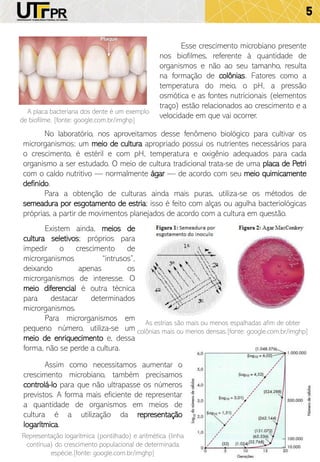 5
A placa bacteriana dos dente é um exemplo
de biofilme. [fonte: google.com.br/imghp]
Esse crescimento microbiano presente
nos biofilmes, referente à quantidade de
organismos e não ao seu tamanho, resulta
na formação de colônias. Fatores como a
temperatura do meio, o pH, a pressão
osmótica e as fontes nutricionais (elementos
traço) estão relacionados ao crescimento e a
velocidade em que vai ocorrer.
No laboratório, nos aproveitamos desse fenômeno biológico para cultivar os
microrganismos; um meio de cultura apropriado possui os nutrientes necessários para
o crescimento, é estéril e com pH, temperatura e oxigênio adequados para cada
organismo a ser estudado. O meio de cultura tradicional trata-se de uma placa de Petri
com o caldo nutritivo — normalmente ágar — de acordo com seu meio quimicamente
definido.
Para a obtenção de culturas ainda mais puras, utiliza-se os métodos de
semeadura por esgotamento de estria; isso é feito com alças ou agulha bacteriológicas
próprias, a partir de movimentos planejados de acordo com a cultura em questão.
As estrias são mais ou menos espalhadas afim de obter
colônias mais ou menos densas.[fonte: google.com.br/imghp]
Existem ainda, meios de
cultura seletivos; próprios para
impedir o crescimento de
microrganismos “intrusos”,
deixando apenas os
microrganismos de interesse. O
meio diferencial é outra técnica
para destacar determinados
microrganismos.
Para microrganismos em
pequeno número, utiliza-se um
meio de enriquecimento e, dessa
forma, não se perde a cultura.
Assim como necessitamos aumentar o
crescimento microbiano, também precisamos
controlá-lo para que não ultrapasse os números
previstos. A forma mais eficiente de representar
a quantidade de organismos em meios de
cultura é a utilização da representação
logarítmica.
Representação logarítmica (pontilhado) e aritmética (linha
contínua) do crescimento populacional de determinada
espécie.[fonte: google.com.br/imghp]
 