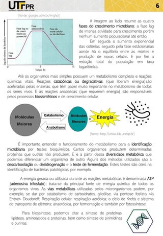 6
[fonte: google.com.br/imghp]
A imagem ao lado resume as quatro
fases do crescimento microbiano; a fase lag
de intensa atividade para crescimento porém
nenhum aumento populacional até então.
Em seguida o aumento exponencial
das colônias, seguido pela fase estácionarias
aonde há o equilíbrio entre as mortes e
produção de novas células. E por fim a
redução total do população em taxa
logarítimica.
Até os organismos mais simples possuem um metabolismo complexo e reações
químicas vitais. Reações catabólicas ou degradativas (que liberam energia)são
aceleradas pelas enzimas, que têm papel muito importante no metabolismo de todos
os seres vivos. E as reações anabólicas (que requerem energia) são responsáveis
pelos processos biossintéticos e de crescimento celular.
É importante entender o funcionamento do metabolismo para a identificação
microbiana por testes bioquímicos. Certos organismos produzem determinadas
proteínas que outros não produzem. E é a partir dessa diversidade metabólica que
podemos diferenciar um organismo de outro. Alguns dos métodos utilizados são a
descarboxilação ou desidrogenação e o teste de fermentação. Estes testes são úteis na
identificação de bactérias patológicas, por exemplo.
A energia gerada ou utilizada durante as reações metabólicas é denominada ATP
(adenosina trifosfato); trata-se da principal fonte de energia química de todos os
organismos vivos. As vias metabólicas utilizadas pelos microrganismos podem, por
exemplo, se dar por catabolismo de carboidratos, glicólise, via pentose fosfato, via
Entner- Doudoroff; Respiração celular. respiração aeróbica; o ciclo de Krebs e sistema
de transporte de elétrons; anaeróbica, por fermentação e também por fotossíntese.
[fonte: http://www.ibb.unesp.br]
Para biossíntese, podemos citar a síntese de proteínas,
lipídeos, aminoácidos e proteínas, bem como síntese de pirimidinas
e purinas.
 