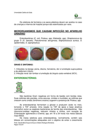 Universidade Católica de Goiás




       Os coletores de farmácia e os sacos plásticos devem ser aceitos no caso
de crianças e internos de hospital porque são esterilizados por raios.


MICRORGANISMOS QUE CAUSAM INFECÇÃO NO APARELHO
URINÁRIO:

      Enterobactérias (E. coli, Proteus, spp; Klebsiella, spp), Streptococcus do
grupo D (S. faecalis), Pseudomonas aeruginosa, Staphylococcus aureus, S.
epidermides, S. saprophyticus.




SINAIS E SINTOMAS:

1. Infecções na bexiga: piúria, disúria, hematúria, dor e tumefação supra-púbica
e de abdomem inferior.
2. Infecção renal: dor lombar e tumefação do ângulo costo-vertebral (ACV).

ENTEROBACTÉRIAS:




      São bactérias Gram negativas em forma de bastão com bordas retas.
Suas colônias são grandes, cinza escuras, úmidas e mucóides; as colônias que
crescem como ondas (fenômeno erosivo) sugerem a presença de Proteus, spp.

        As enterobactérias fermentam a glicose e produzem ácido no meio,
tornando o TAF amarelo. Uma reação no TAF de ápice e base alcalinos
(vermelho) exclui as espécies bacterianas da família das enterobactérias. São
citocromo-oxidase negativas, reduzem nitratos a nitritos, com exceção do
Enterobacter aglomerans e Erwinia, spp, em 18 a 24 horas nos meios básicos
mais KNO3.
        Os meios seletivos para enterobactérias, normalmente, contém sais
biliares em concentrações adequadas com o objetivo de evitar o crescimento
Profa. Cláudia Maria Duque de Souza e Edlaine Rodrigues Montalváo.
Página 19 de 87
 