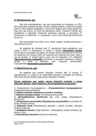 Universidade Católica de Goiás



6- Pseudomonas, spp

       Não são enterobactérias, mas são encontradas em infecções no TGU.
São bastonetes aeróbios estritos, móveis, catalase positiva e citocromo-oxidase
positivo. Nas espécies flageladas o número de flagelos serve para separá-las,
mas isso não ocorre na rotina do laboratório clínico. Possuem fímbrias que
possibilitam a fagocitose. Produzem pigmentos solúveis, a pioverdina (P.
fluorescens) e a piocinina ( P. aeruginosa - azul) e odor adocicado semelhante
ao da uva.

       São encontradas nos olhos, urina, ferida, sangue, lavados brônquicos e
trato genital feminino.

       As espécies de interesse são: P. aeruginosa (mais patogênica, que
cresce a 42ºC), P. fluorescens, P. putida, P. cepacia (Burholderia cepatia,
encontrada na putrefação da cebola, em lesões úlcero-necroticas em humanos,
em pacientes com fibrose cística em paciente com estenose de uretra, após o
uso de sondas), P. stutzeri (água e solo, raro em infecções) e P. maltophilia
(Stenotophomonas maltophila, encontrada no aparelho respiratório, sangue,
feridas   e    urina    e     pacientes    com    infecções     oportunistas),
P.pseudomallei(Burkholderia pseudomallei)

7- Staphylococcus, spp

      As espécies que causam infecções urinárias são: S. aureus, S.
saprophyticcus, S. xylosus e S. epidermides (quando a contagem de colônias
está muito alta ele também pode causar infecções urinárias).

Outros patógenos que podem causar infecções urinárias e outras
infecções (Bacilos Gram negativos ,não fermentadores de açúcares:

1) Flavobacterium meningosepticum = Chryseobacterium meningosepticum
(patogênicos para prematuros)
2) Oligella urethralis (infecções no ouvido e urinárias)
3) Neisseria elongata (subsp. nitroredutans) endocardite
4) Sphingobacterium spiritivorum (sg, urina, antigo Flavobacterium
spiritivorum)
5) Shingomonas paucimobilis (Pseudomonas paucimobilis) encontrada em
várias amostras clínicas.
6) Weeksella virosa (Flavobacterium genitale) = colônia mucóide, infecções
urinárias e genitais.
7) Alcalígenes faecalis (antigo odorans) = nebulizadores, lavado brônquico, sg,
escarro, urina.
8) Acinetobacter baumannii (penicilina resistente).


Profa. Cláudia Maria Duque de Souza e Edlaine Rodrigues Montalváo.
Página 23 de 87
 