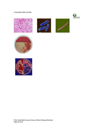 Universidade Católica de Goiás




Profa. Cláudia Maria Duque de Souza e Edlaine Rodrigues Montalváo.
Página 24 de 87
 