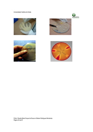 Universidade Católica de Goiás




Profa. Cláudia Maria Duque de Souza e Edlaine Rodrigues Montalváo.
Página 43 de 87
 