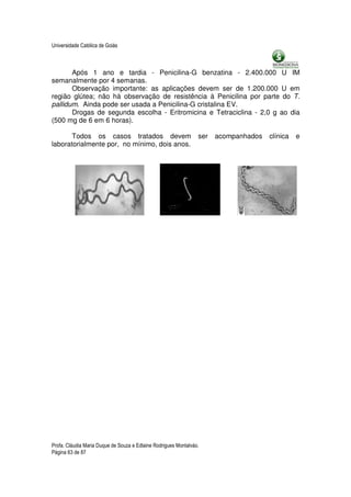 Universidade Católica de Goiás



       Após 1 ano e tardia - Penicilina-G benzatina - 2.400.000 U IM
semanalmente por 4 semanas.
       Observação importante: as aplicações devem ser de 1.200.000 U em
região glútea; não há observação de resistência à Penicilina por parte do T.
pallidum. Ainda pode ser usada a Penicilina-G cristalina EV.
       Drogas de segunda escolha - Eritromicina e Tetraciclina - 2,0 g ao dia
(500 mg de 6 em 6 horas).

       Todos os casos tratados devem                             ser   acompanhados   clínica   e
laboratorialmente por, no mínimo, dois anos.




Profa. Cláudia Maria Duque de Souza e Edlaine Rodrigues Montalváo.
Página 63 de 87
 