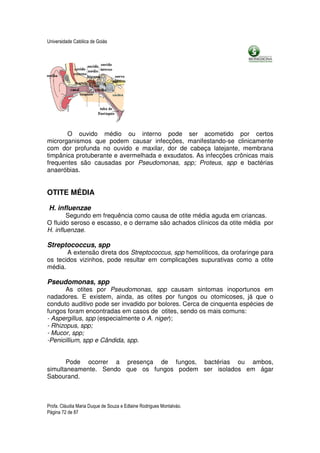 Universidade Católica de Goiás




       O ouvido médio ou interno pode ser acometido por certos
microrganismos que podem causar infecções, manifestando-se clinicamente
com dor profunda no ouvido e maxilar, dor de cabeça latejante, membrana
timpânica protuberante e avermelhada e exsudatos. As infecções crônicas mais
frequentes são causadas por Pseudomonas, spp; Proteus, spp e bactérias
anaeróbias.


OTITE MÉDIA

H. influenzae
        Segundo em frequência como causa de otite média aguda em criancas.
O fluido seroso e escasso, e o derrame são achados clínicos da otite média por
H. influenzae.

Streptococcus, spp
       A extensão direta dos Streptococcus, spp hemolíticos, da orofaringe para
os tecidos vizinhos, pode resultar em complicações supurativas como a otite
média.

Pseudomonas, spp
       As otites por Pseudomonas, spp causam sintomas inoportunos em
nadadores. E existem, ainda, as otites por fungos ou otomicoses, já que o
conduto auditivo pode ser invadido por bolores. Cerca de cinquenta espécies de
fungos foram encontradas em casos de otites, sendo os mais comuns:
- Aspergillus, spp (especialmente o A. niger);
- Rhizopus, spp;
- Mucor, spp;
-Penicillium, spp e Cândida, spp.


       Pode ocorrer a presença de fungos, bactérias ou ambos,
simultaneamente. Sendo que os fungos podem ser isolados em ágar
Sabourand.



Profa. Cláudia Maria Duque de Souza e Edlaine Rodrigues Montalváo.
Página 72 de 87
 